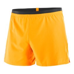 Salomon Cross 5" Shorts Men's in Citronelle